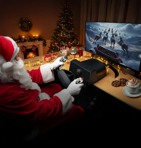 FLYING HOME FOR CHRISTMAS